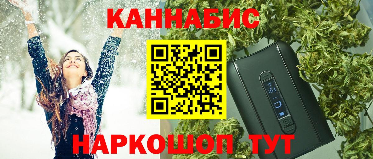 Конопля сатива Шали